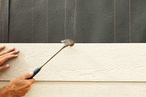 Best Stucco Siding  in Helotes, TX